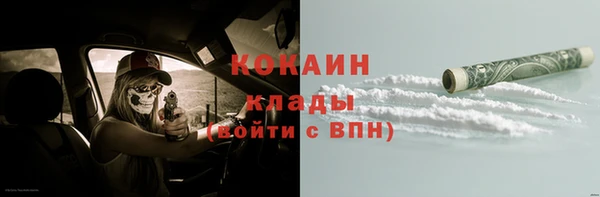 бошки Алзамай