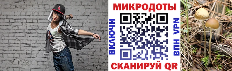 купить наркотик  ссылка на мегу сайт  Псилоцибиновые грибы Psilocybe  Большой Камень 