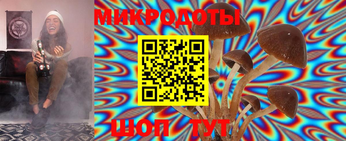 Псилоцибиновые грибы Psilocybine cubensis Большой Камень